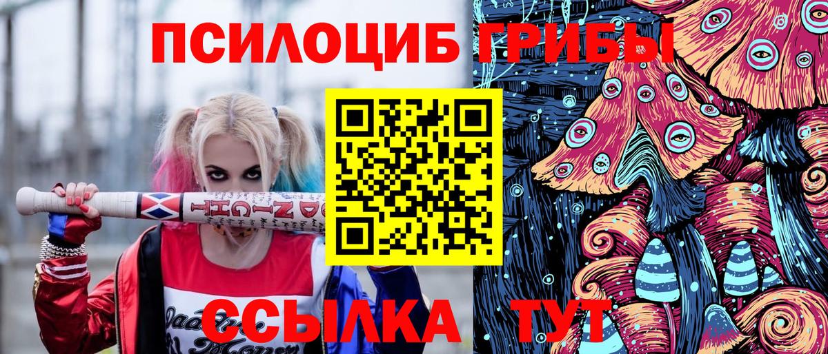 Миллерово  Псилоцибиновые грибы GOLDEN TEACHER  как найти закладки  Вход с VPN 