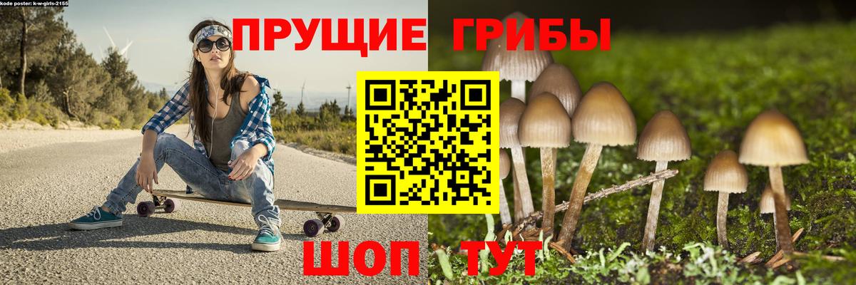 Псилоцибиновые грибы Cubensis Миллерово